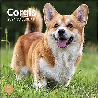 Imagen de Calendario Mensual Corgis 2024 de la empresa Bright Day Stationery.