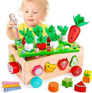 Imagen de Juguetes Madera Montessori Clasificación de la empresa EDUJOY Shop.