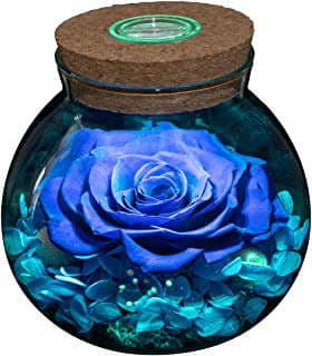 Imagen de Rosa eterna en botella iluminada de la empresa FGSHOP.