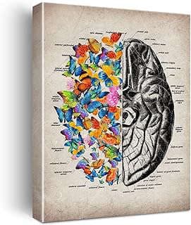 Imagen de Lienzo Anatomía Cerebro Mariposa de la empresa JerLoe.