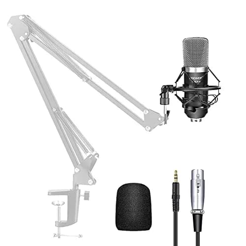 Image of Professional Microphone Game by the company Neewer.