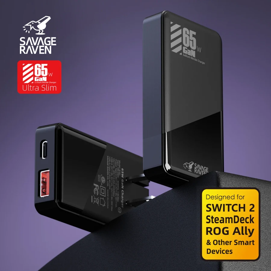 Skull & Co. 65W GaN Power Adapter for Switch 2 product image